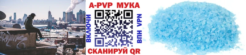 мориарти Telegram  Полысаево  А ПВП СК  hydra ссылки 
