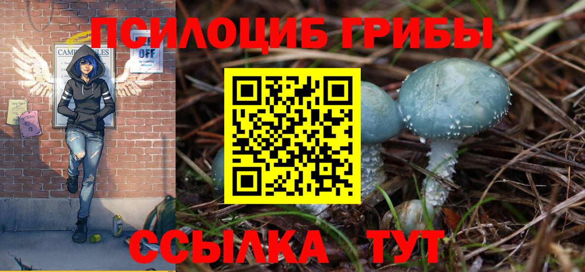 Псилоцибиновые грибы MAGIC MUSHROOMS Полысаево