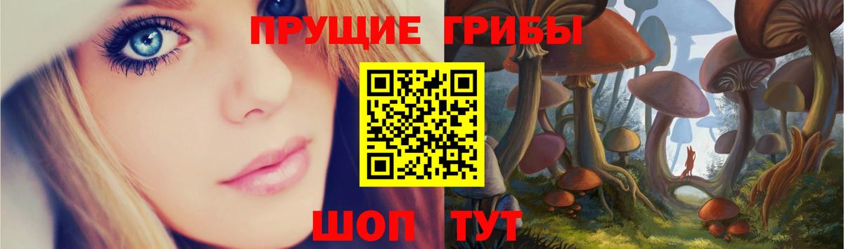 Полысаево  Галлюциногенные грибы прущие грибы  Галлюциногенные грибы Psilocybe  Вход с VPN 